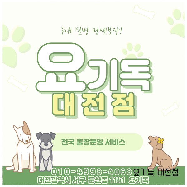  가수원동강아지분양 어디서 만나야 할까요?