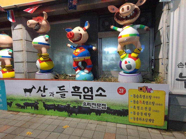  원 픽 몸보신 대전 흑염소 요리 맛집 선화동 산과 들 흑염소