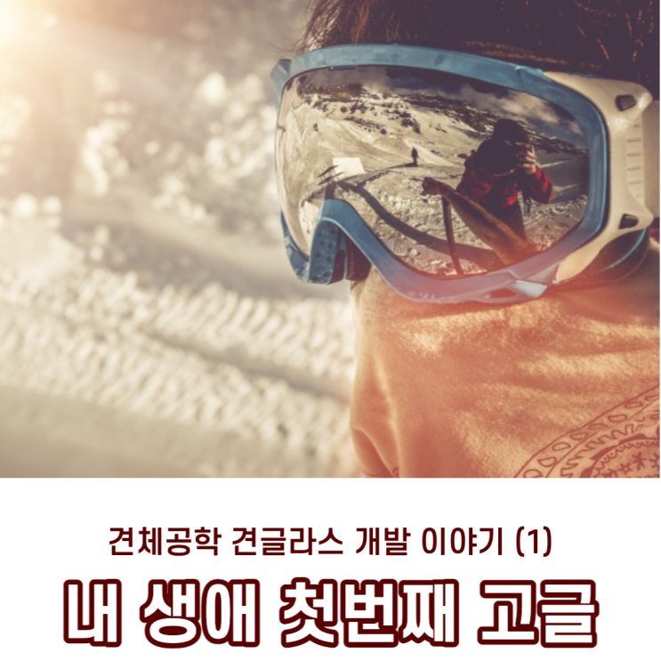  견체공학 견글라스 개발이야기(1) 강아지 눈보호를 위한 고글의 첫시작은?