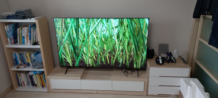 나노셀 + 퀀텀닷 + 미니 LED로 더욱 선명한 LCD TV의 최고 스펙 LG 65QNED90
