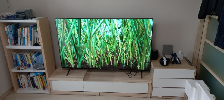  나노셀 + 퀀텀닷 + 미니 LED로 더욱 선명한 LCD TV의 최고 스펙 LG 65QNED90