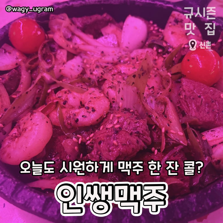  서울 신촌 맥주 집 인쌩맥주 리뷰