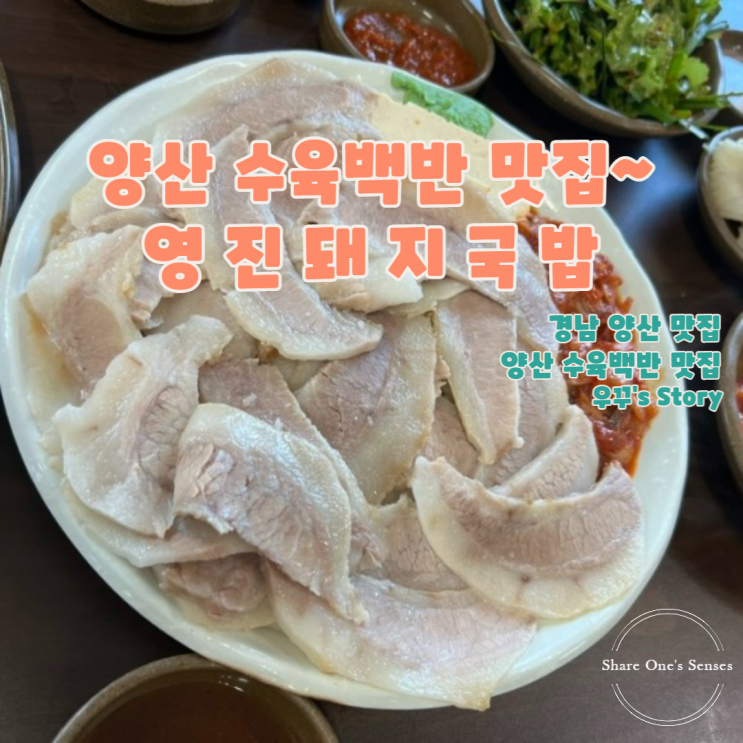 [양산/맛집] 양산 서창 영진돼지국밥 내 최애맛집~