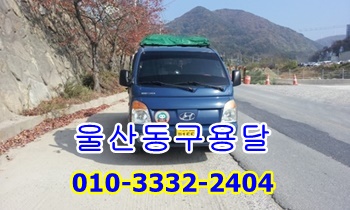 울산동구용달 염포동 양정동. 울산동구용달 염포동 양정동.