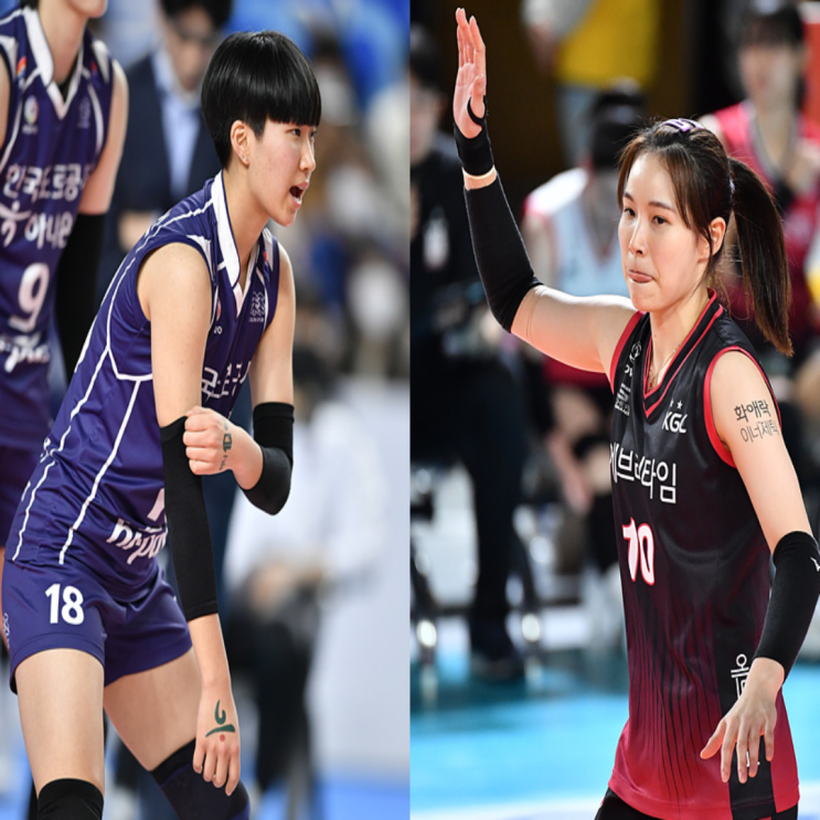 도로공사 인삼공사, V리그 여자배구 12월 9일 경기예상(도공인삼, 인삼도공, 카타리나 박정아 이윤정 엘리자벳 이소영 최효서)