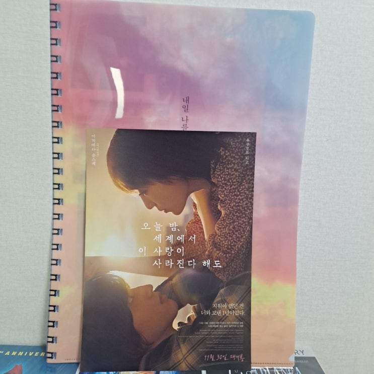  오늘 밤 , 세계에서 이 사랑이 사라진다해도 징하게 본 인스타 광고 소설 영화 [영화 정보, 후기, 평점, A3 클리어 화일 ]