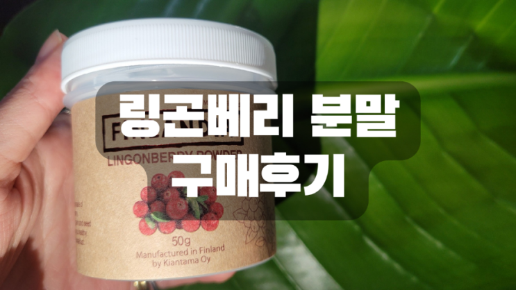  링곤베리 분말 구매후기