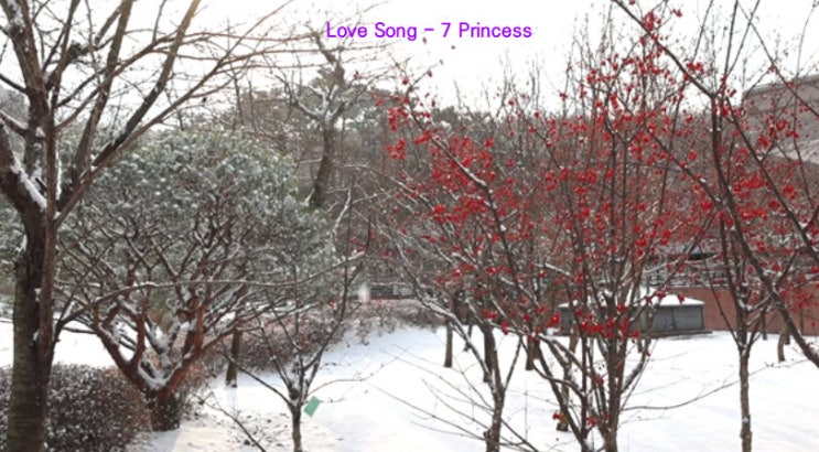 Love Song - 7 Princess Love Song - 7 Princess