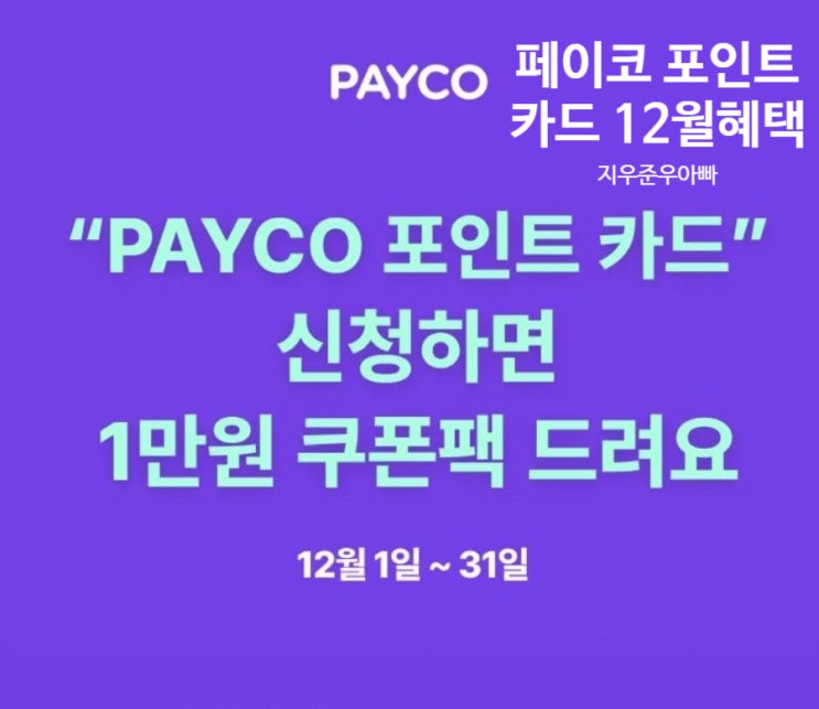 페이코 포인트 카드 12월 발급 혜택 페이코 포인트 카드 12월 발급 혜택