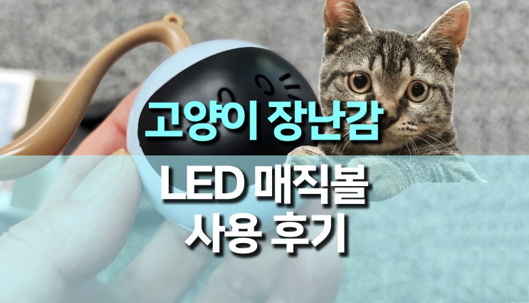 반려동물 고양이 장난감 공, 움직이는 매직볼 후기 반려동물 고양이 장난감 공, 움직이는 매직볼 후기
