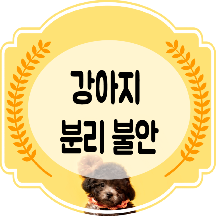  강아지 분리불안 증상 !! 보호자의 잘못된 행동을 알아보자