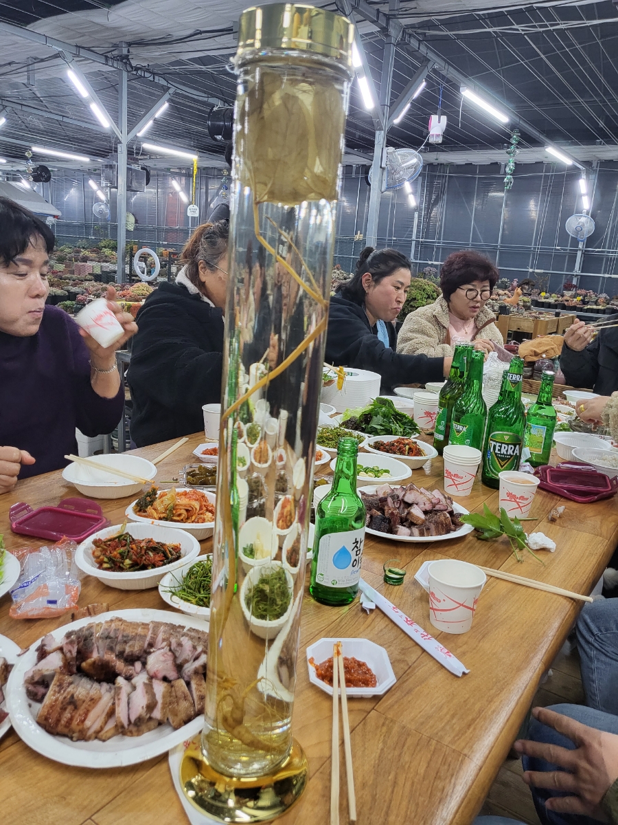 모모다육 사진 2