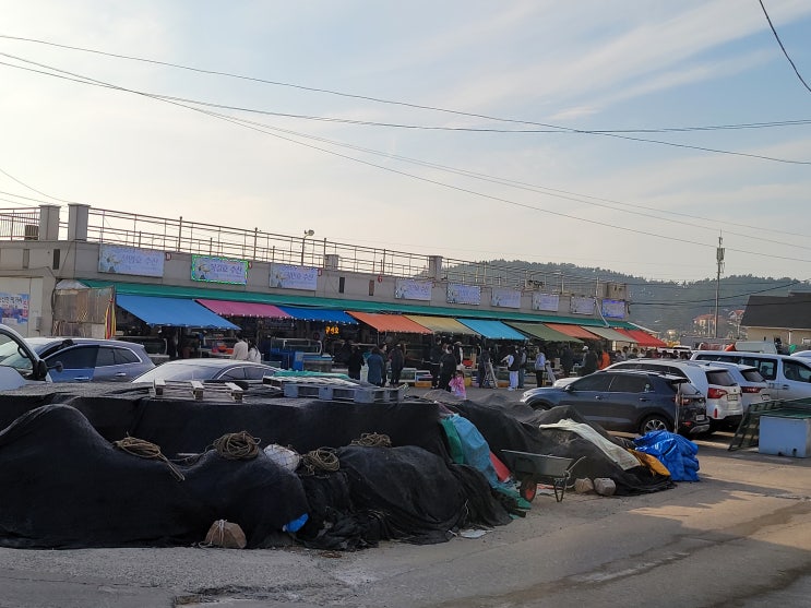  태안몽산포오션탬핑장 주변수산시장후기 몽산포수산시장해산물가격정보 찾아가는길정보