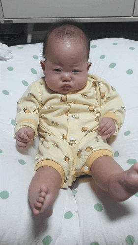  5개월 아기 발달사항 운동 정서 인지 의사소통