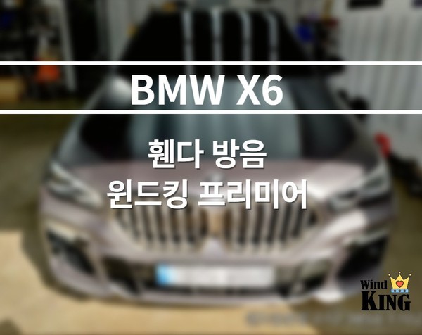BMW X6 [ 휀다방음과 풍절음 차단 윈드킹 프리미어 몰딩] 시공기