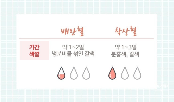 배란기 증상,배란통,출혈,냉(w.배란일 계산기)총정리 : 네이버 블로그