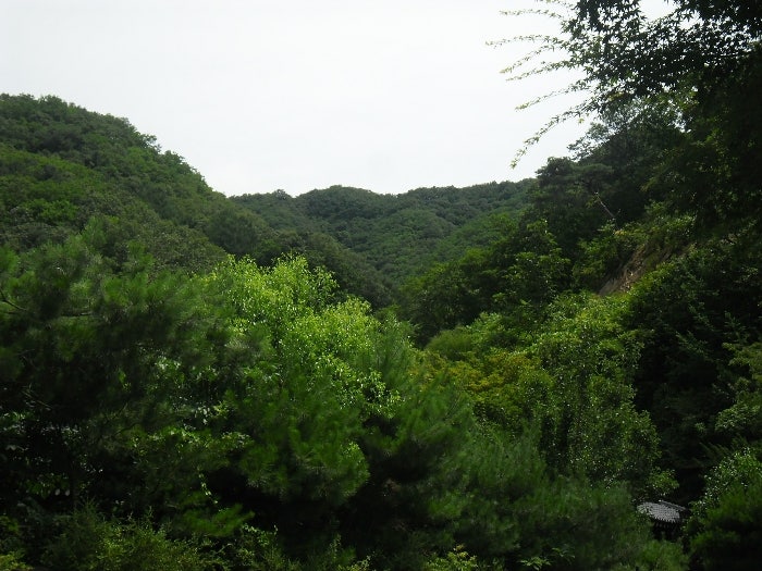 차너머골 사진 2