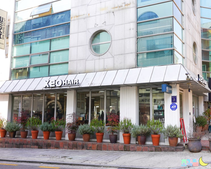  청담동 미용실 :: 숱많은 단발 태슬컷 펌 잘하는 제오헤어 압구정점 소이 부원장