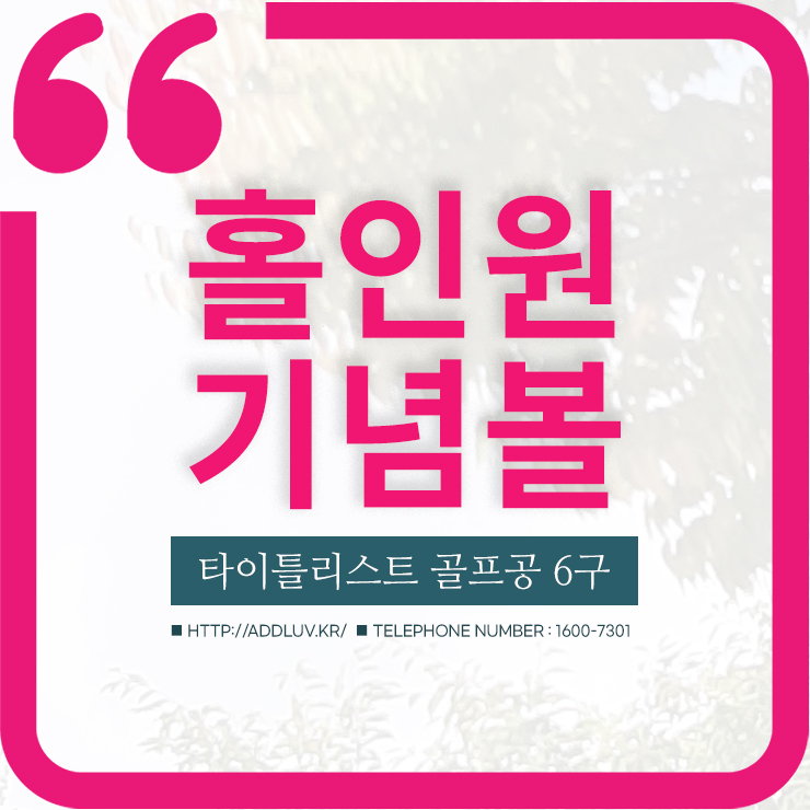  홀인원 기념볼 제작 타이틀리스트 골프공 pro v1x