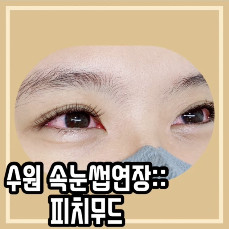  호매실 속눈썹 연장:: 피치무드