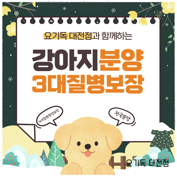  도마동강아지분양 건강한 아가들만 만나는 요기독대전점 후기