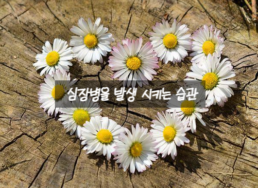  심장병을 발생 시키는 습관
