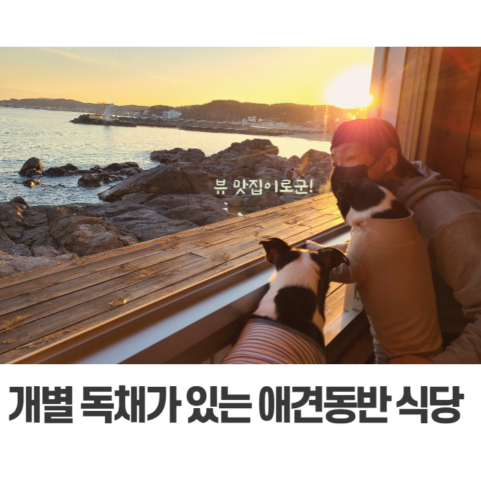  부산 애견동반 식당 뷰 맛집 개별 독채가 있는 고스락 다녀온 후기