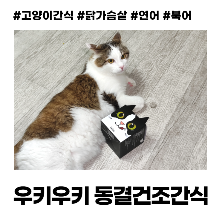 우키우키 고양이 수제 동결건조 간식 닭가슴살 연어 북어 우키우키 고양이 수제 동결건조 간식 닭가슴살 연어 북어