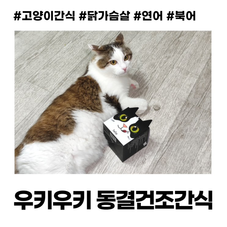 우키우키 고양이 수제 동결건조 간식 닭가슴살 연어 북어