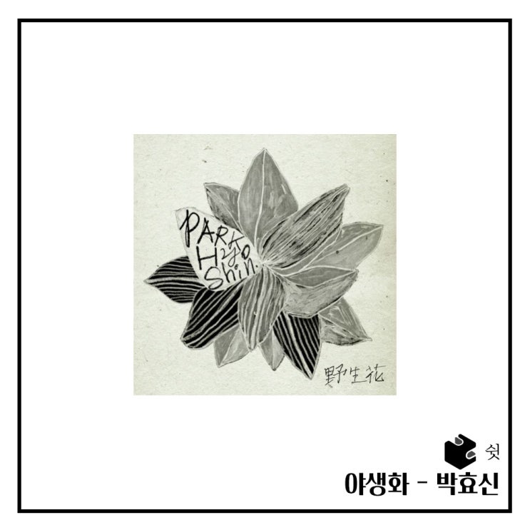  하루 한 곡야생화 - 박효신 