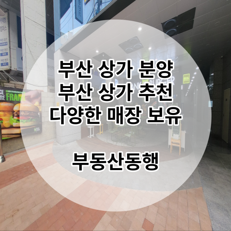  부산상가 / 다양한 매물보유 / 서면역 근처 역세권 상가를 찾으신다면?