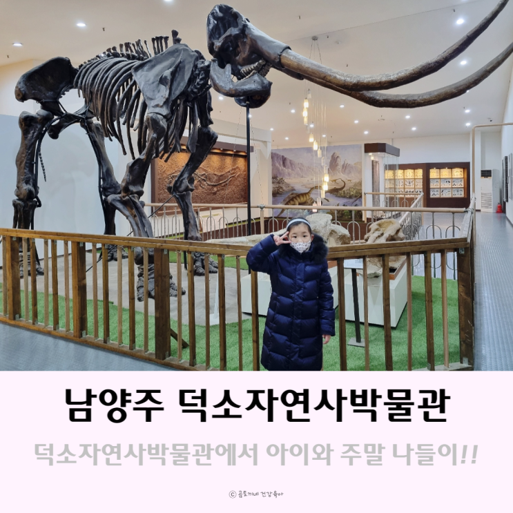 남양주 갈만한곳, 덕소자연사박물관에서 아이와 주말나들이 남양주 갈만한곳, 덕소자연사박물관에서 아이와 주말나들이