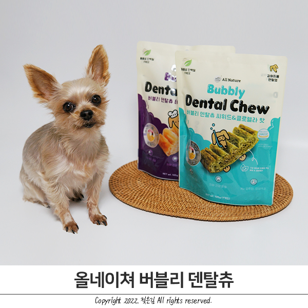 양치 싫어하는 강아지를 위한 올네이쳐 버블리 덴탈츄 강아지덴탈껌 양치 싫어하는 강아지를 위한 올네이쳐 버블리 덴탈츄 강아지덴탈껌