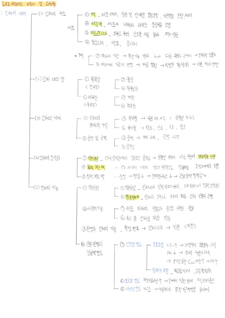 중등 임용 체육 서브노트, 운동 생리학(에너지 대사 ATP-PC)