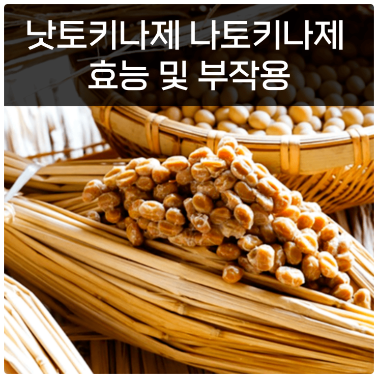  낫토키나제 나토키나제 효능 및 부작용 총정리