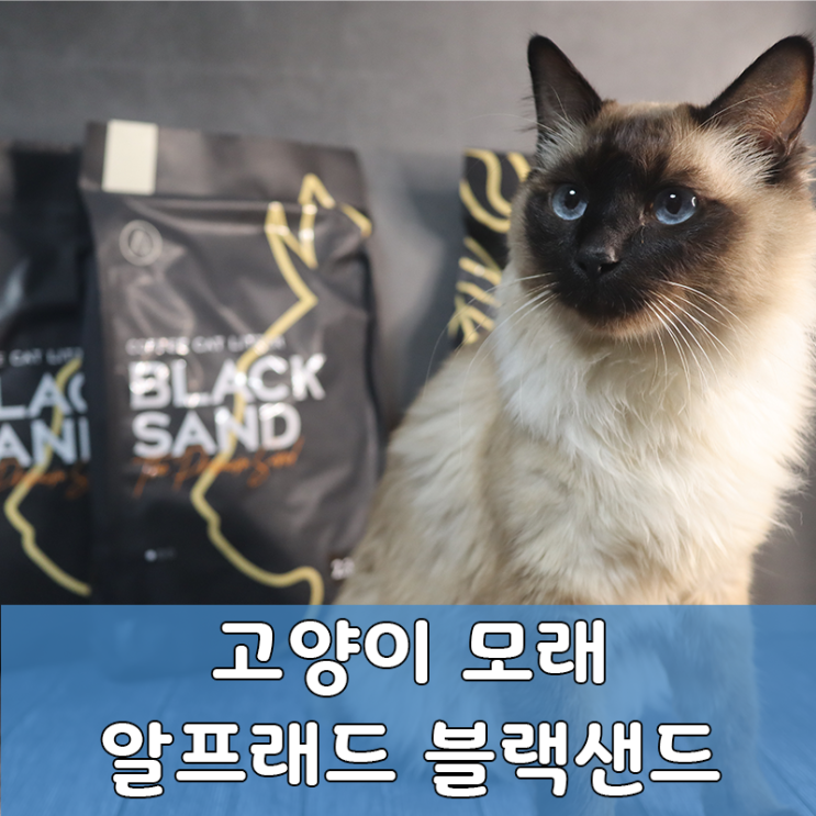  먼지 적고 탈취력 좋은 알프래드 블랙샌드 모래