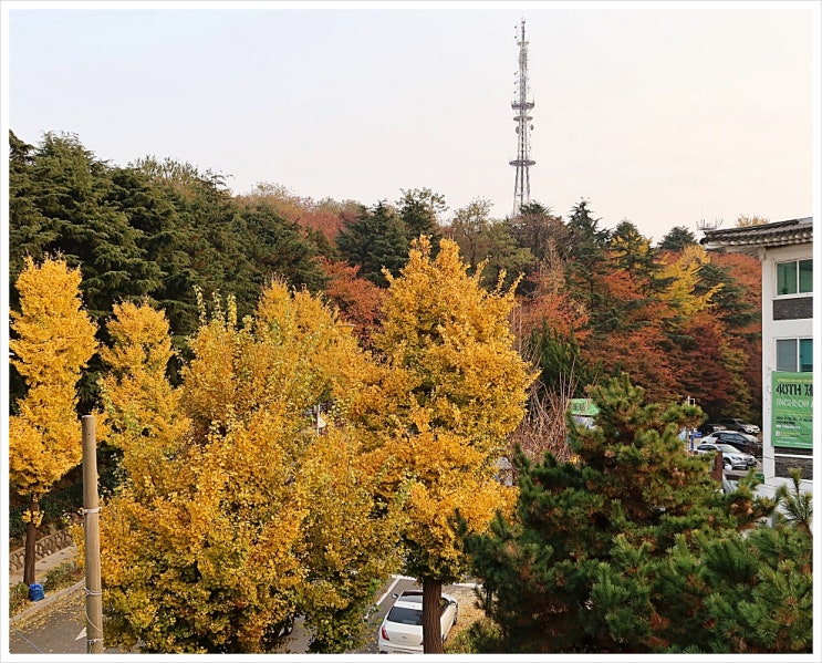  창밖 풍경 _ 22년 가을
