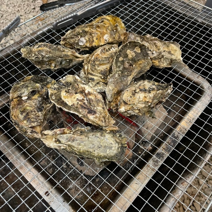  거제도 여행(조용한 숙소 - 아지랑스파펜션)