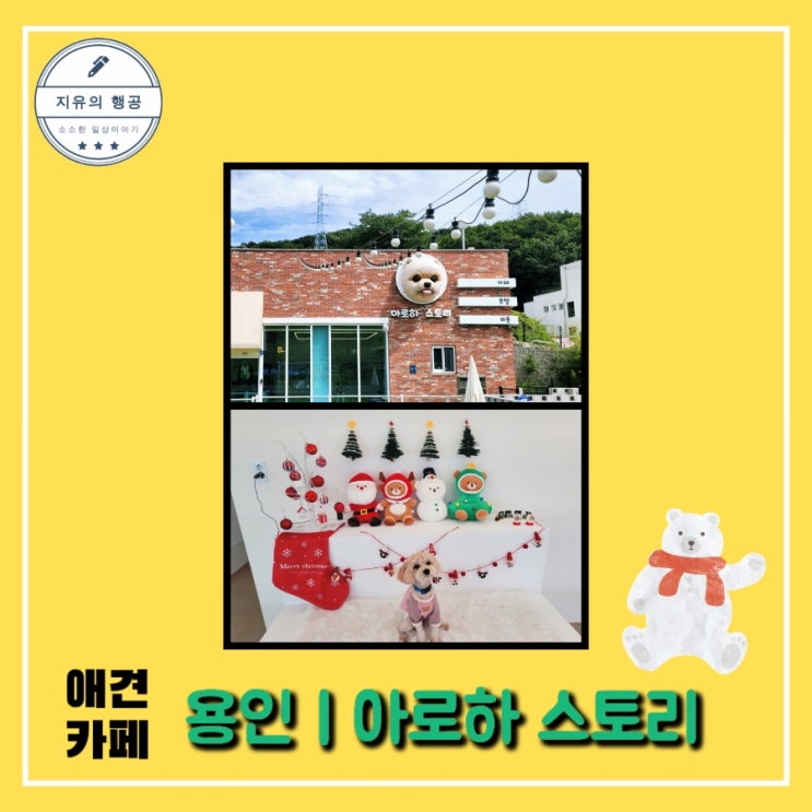  용인 애견 카페ㅣ아로하 스토리 - 유치원과 미용, 넓은 운동장 맛있는 음식 내돈내산
