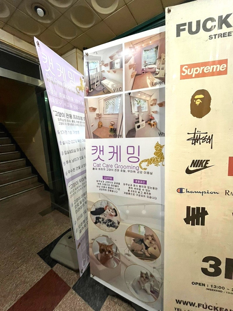사진 6