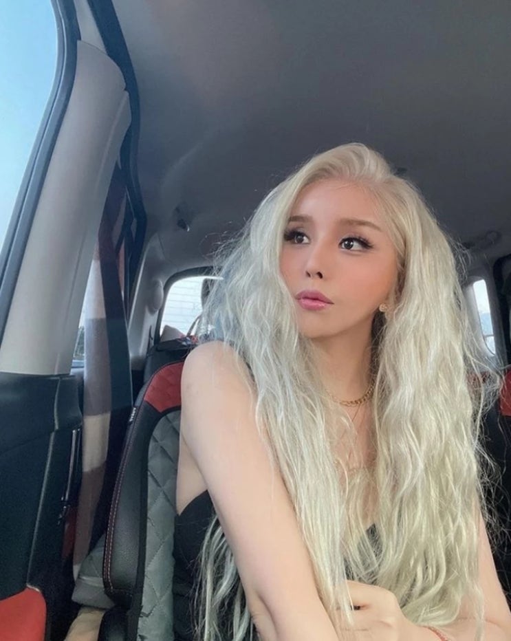 '트랜스젠더 1호' 하리수, 4살 연상 사업가 남자친구 만나는데...팬더티비 BJ로 깜짝 데뷔 이유는? '트랜스젠더 1호' 하리수, 4살 연상 사업가 남자친구 만나는데...팬더티비 BJ로 깜짝 데뷔 이유는?