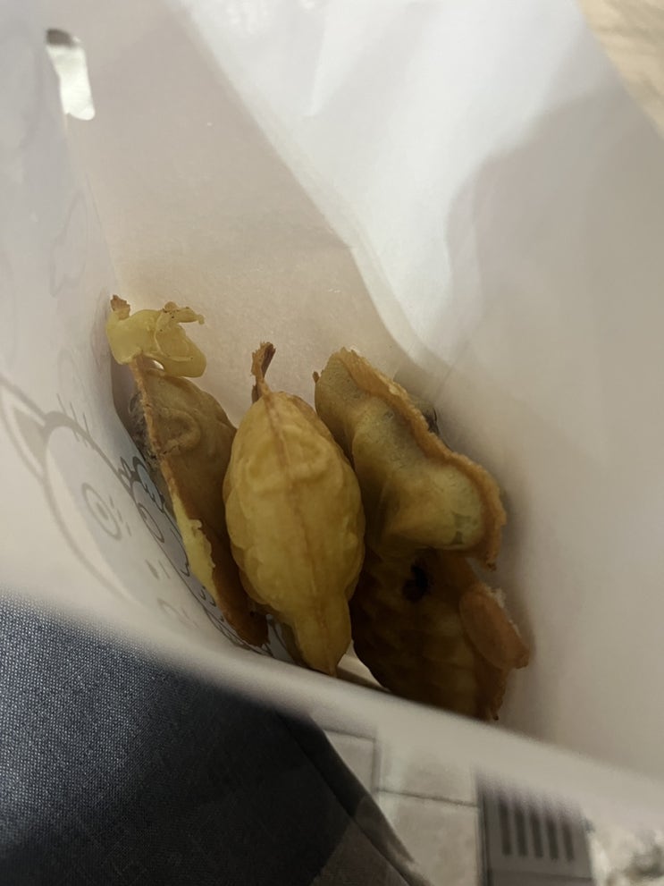  붕어빵이 되고 싶었던 델리만쥬를 응원합니다
