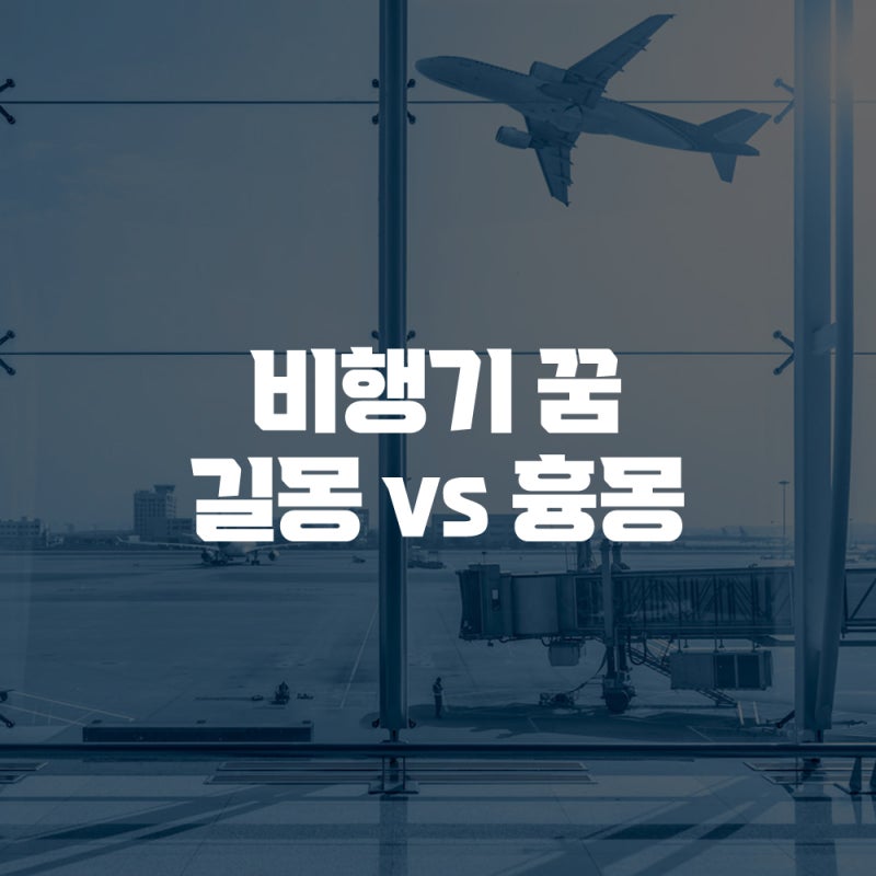 비행기 타는 꿈해몽 추락하는 꿈 비행기 추락 목격 꿈 풀이