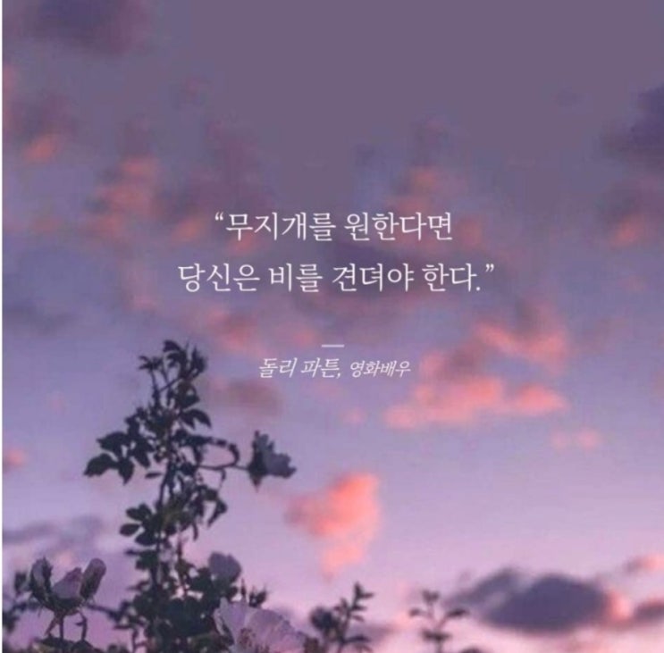 부거사이 [부동산 뉴스와 블로그] 12월 9일(금)