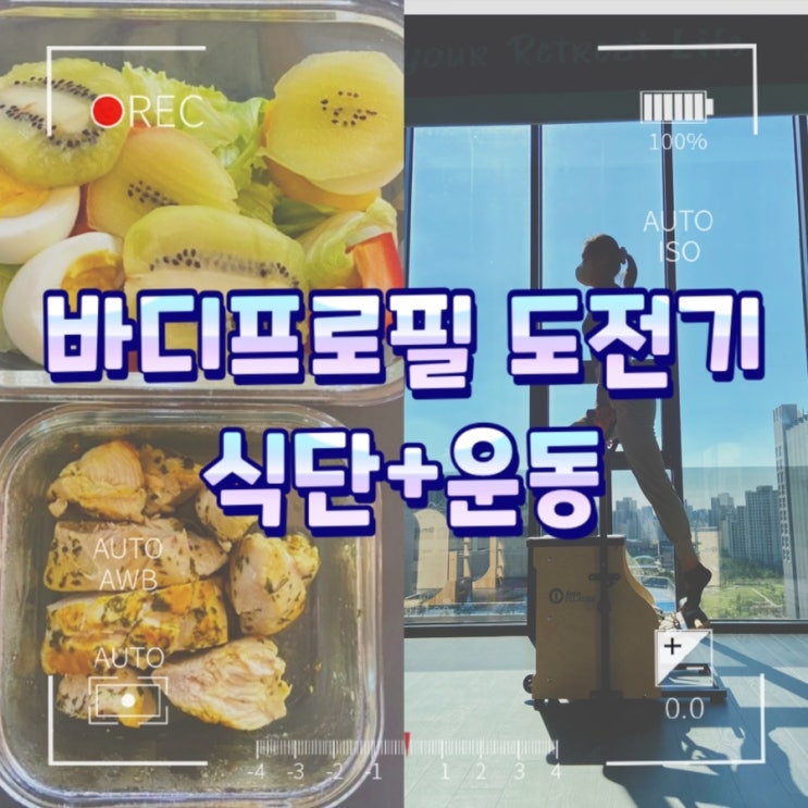 100일 일반인 바디프로필도전기 첫번째 / 식단+운동