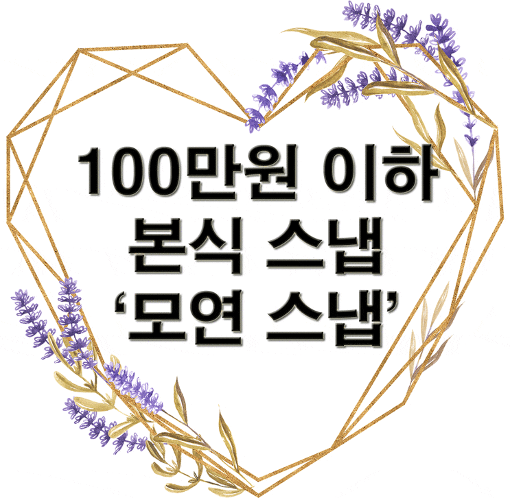  2인 100만원 이하 가성비 본식 스냅 '모연스냅 / 순간을 담다'