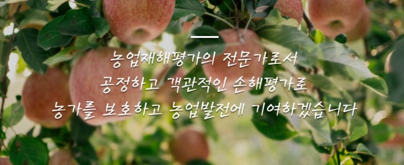 한국손해평가사협회 가입
