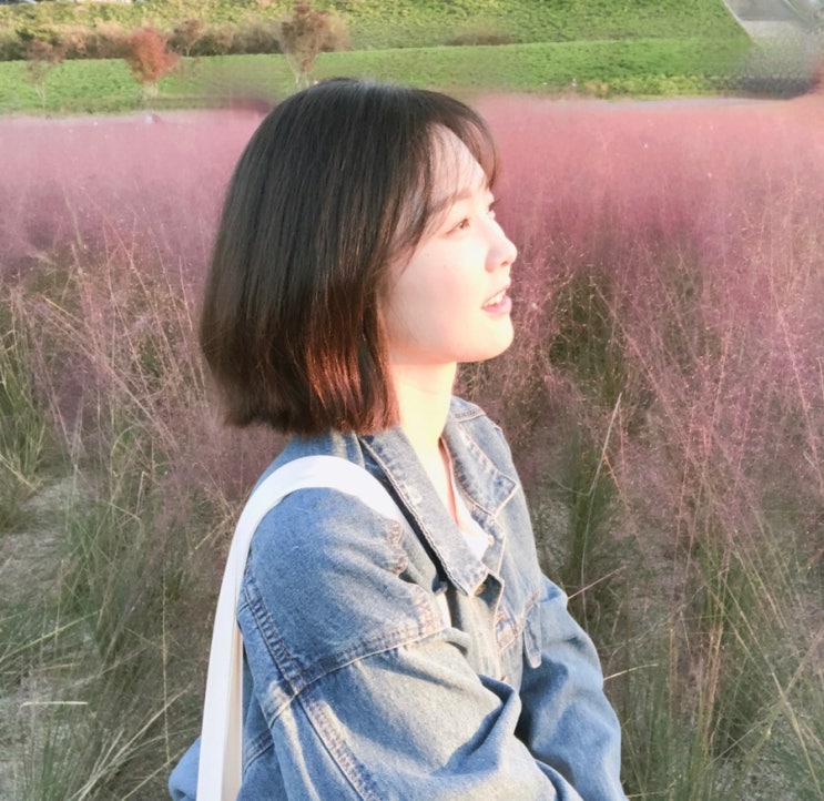  안동 핑크뮬리