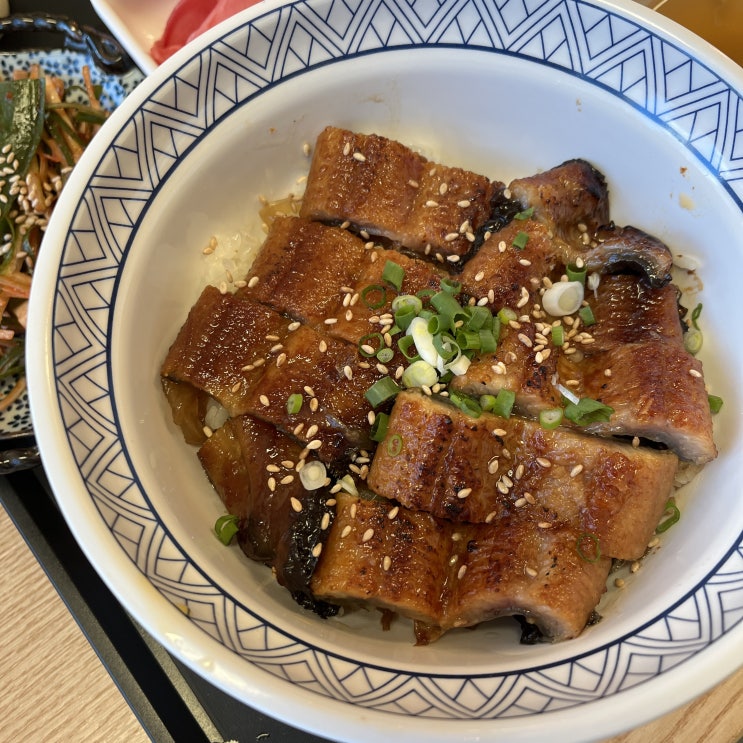  파주 야당역 덮밥다운덮밥 맛집 장어덮밥 추천 - 모우