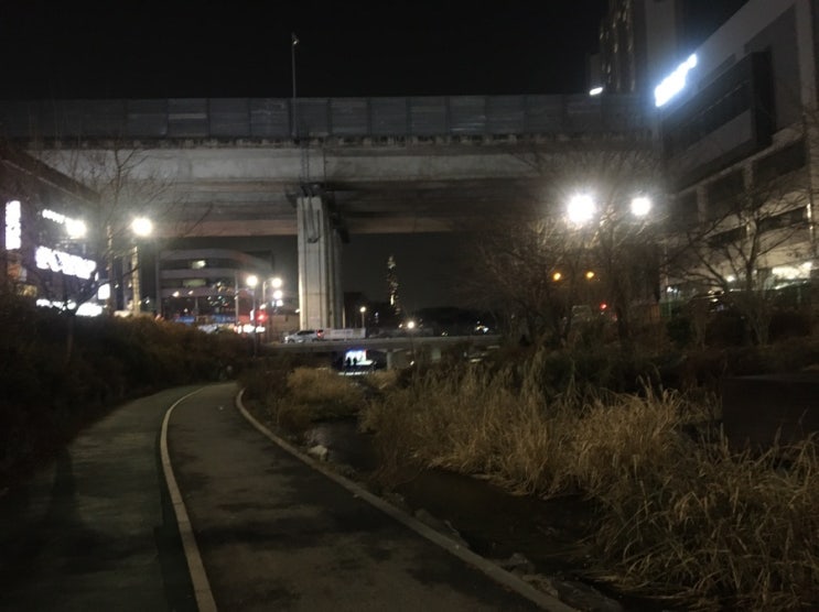  30분 달리기 도전 4주차 -3